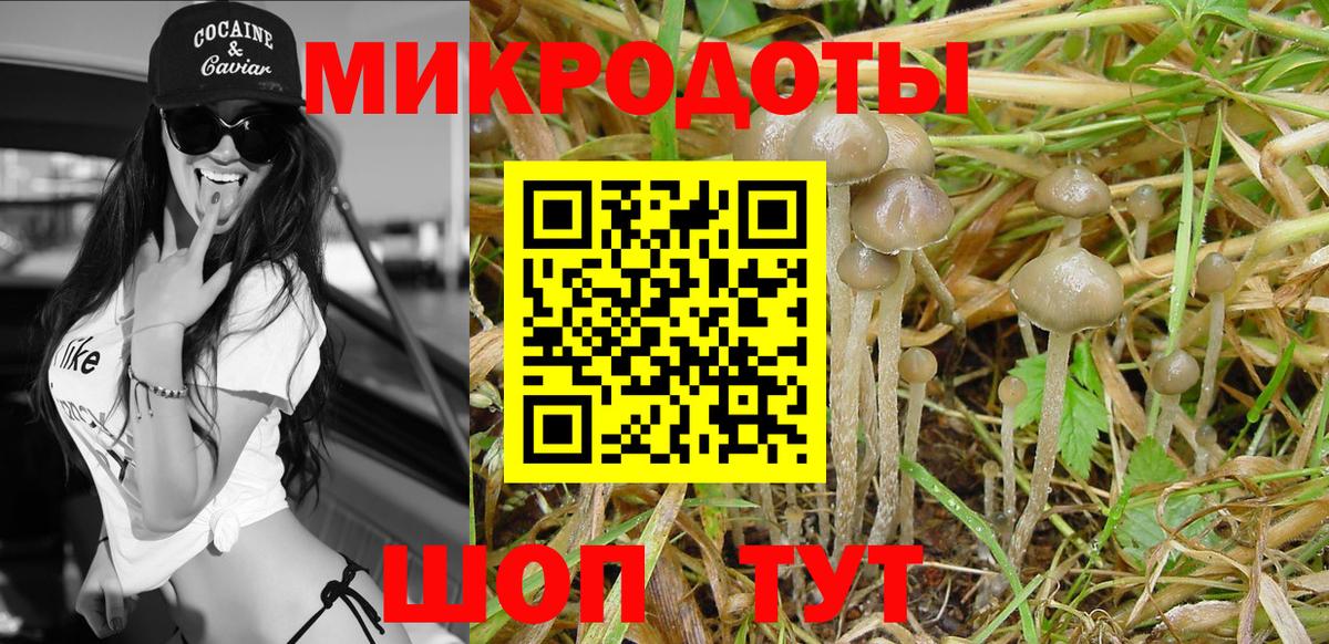 Галлюциногенные грибы мицелий Северобайкальск